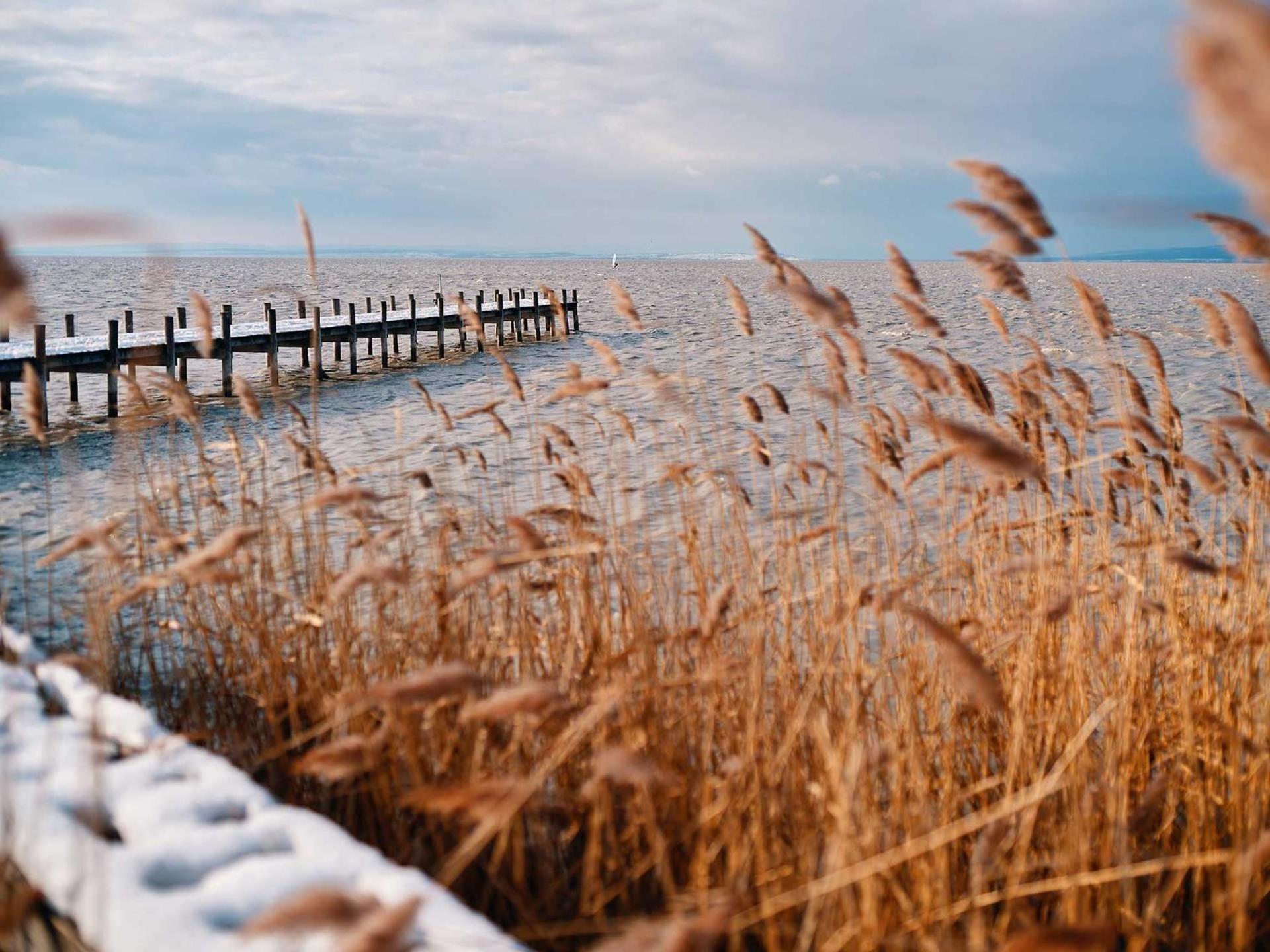 Pannonia Apartments Mörbisch am See Екстериор снимка